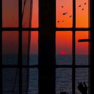 办公室下被扒奶罩吮奶头App
