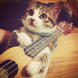 办公室下被扒奶罩吮奶头App
